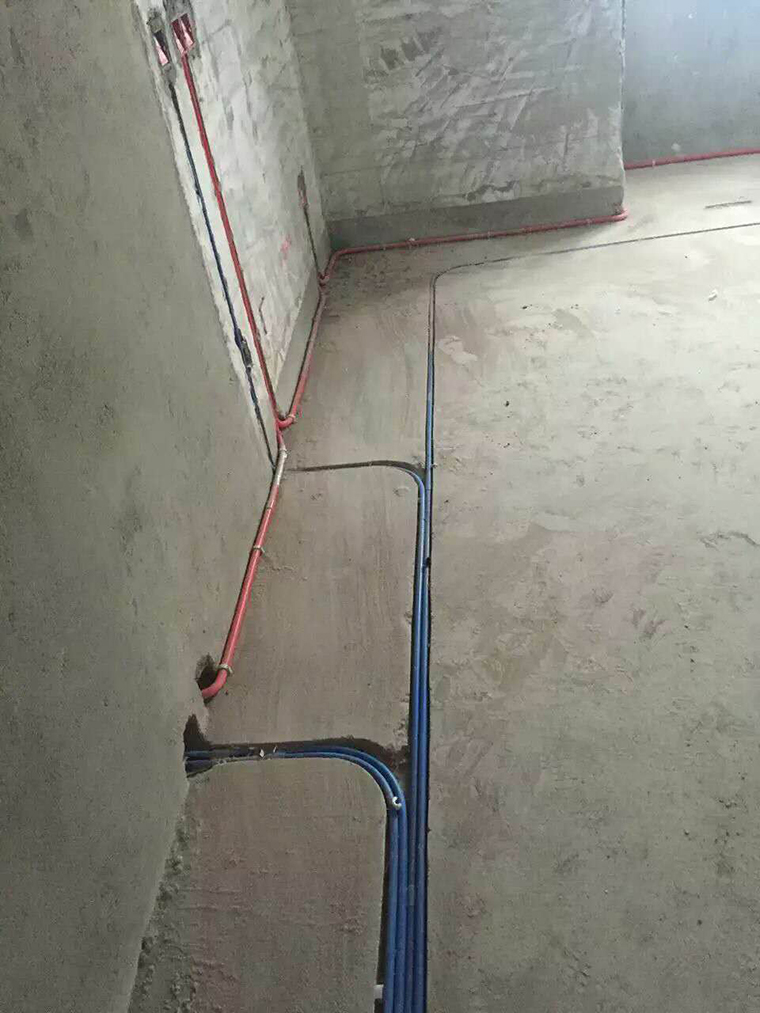 435558175693779402.jpg